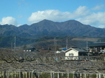 山梨出張 - 20.jpg