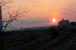 名栗方面サイクリング - 284.jpg