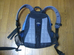 IMG_2911.jpg