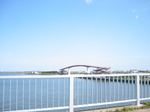IMG_3838.jpg