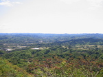 IMG_3862.jpg