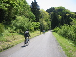 IMG_3910.jpg
