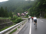 IMG_5175.jpg