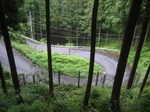 IMG_5230.jpg