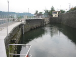 IMG_5241.jpg